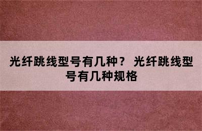 光纤跳线型号有几种？ 光纤跳线型号有几种规格